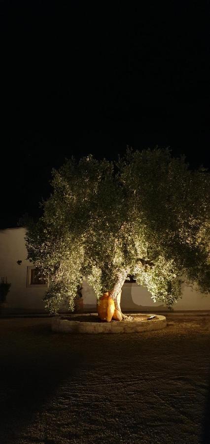Masseria Cesarina B&B Castellana Grotte Exteriör bild