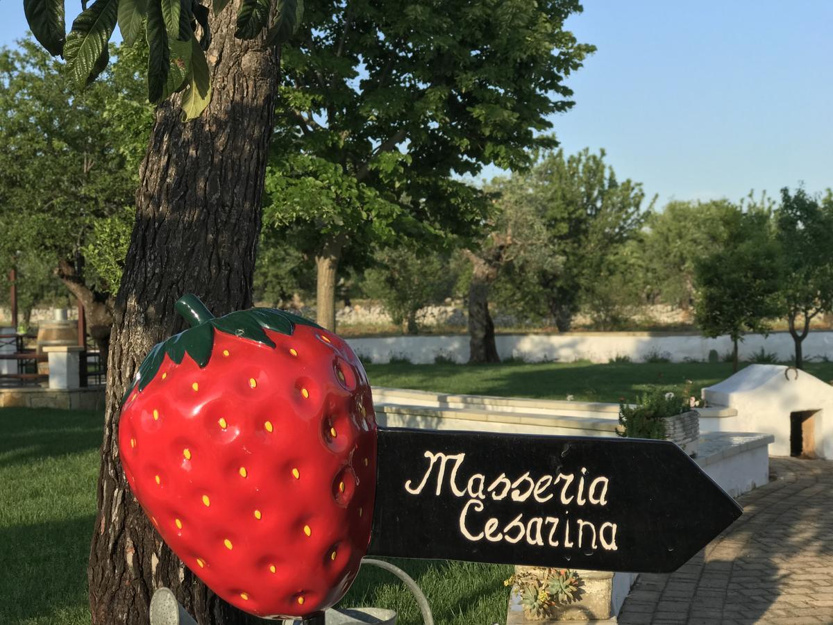 Masseria Cesarina B&B Castellana Grotte Exteriör bild